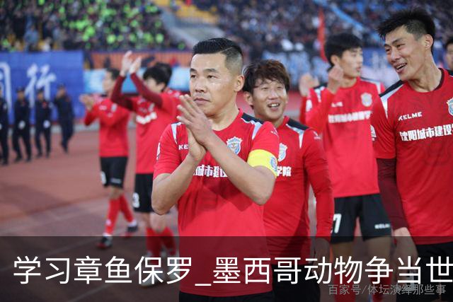 学习章鱼保罗 墨西哥动物争当世界杯预言家